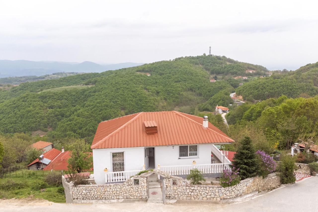 Vista De Montana Meteora II Villa Vlachava Luaran gambar
