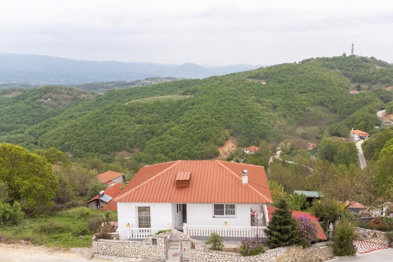 Vista De Montana Meteora II Villa Vlachava Luaran gambar